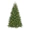 7.5ft. Pre-Lit PowerConnect™ Princeton Fraser Fir Artificial Christmas Tree, Dual Color® LED Lights